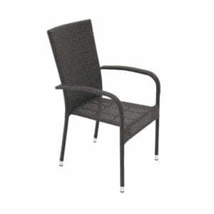 Anna Chair - Black (2-pack)