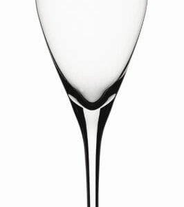 Authentis Champagneglas 19 cl