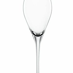 Special Glasses Party Champagne 16 cl 6-p