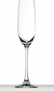 Salute Champagneglas 21 cl