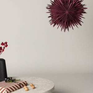 Sälen Adventsstjärna