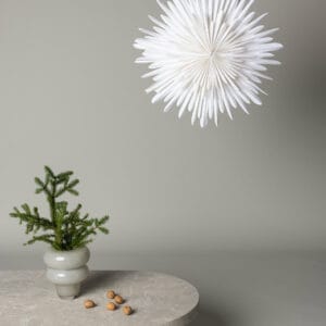 Sälen Adventsstjärna