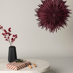 Sälen Adventsstjärna