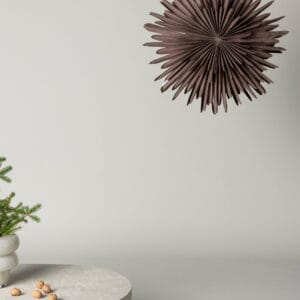 Sälen Adventsstjärna
