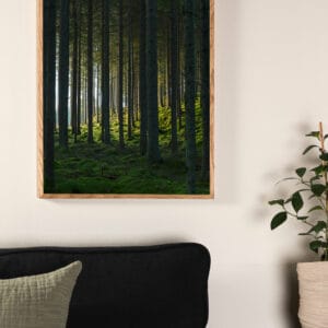 Woods Poster