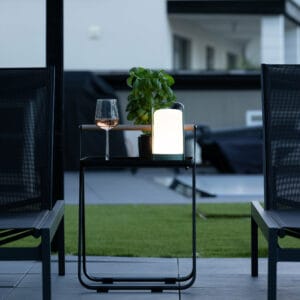 Fern Bordslampa