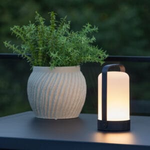 Fern Bordslampa