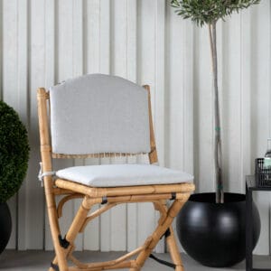 Cane Cafestol