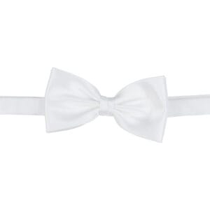 Polyester fluga