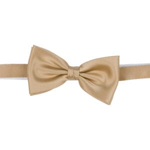 Polyester fluga