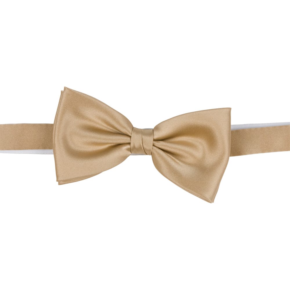 Polyester fluga