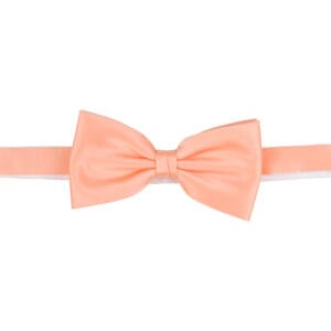 Polyester fluga
