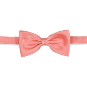 Polyester fluga