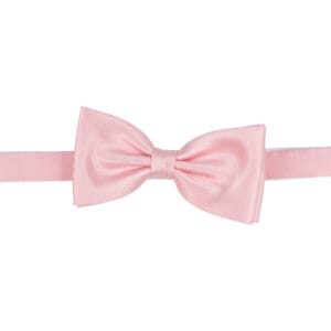 Polyester fluga