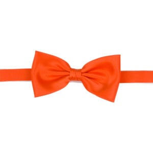 Polyester fluga