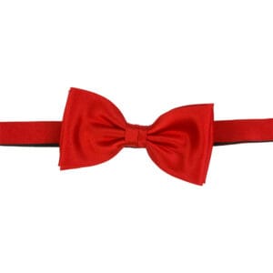 Polyester fluga