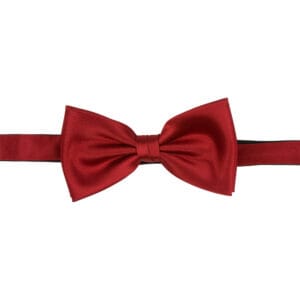 Polyester fluga