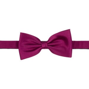 Polyester fluga