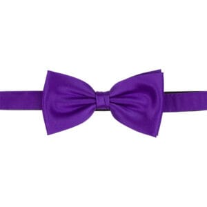 Polyester fluga