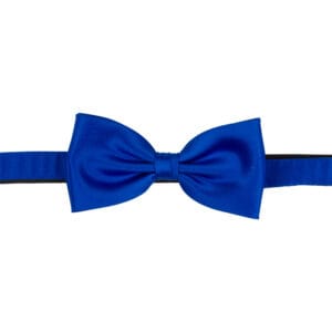 Polyester fluga
