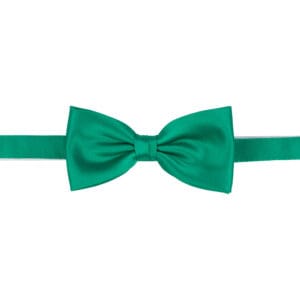 Polyester fluga