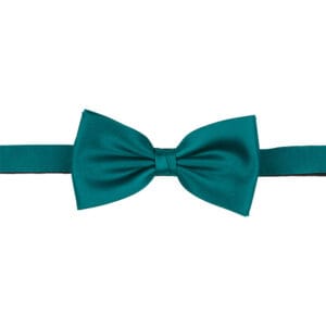 Polyester fluga