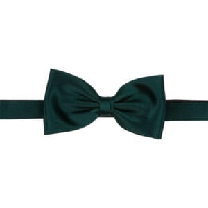 Polyester fluga