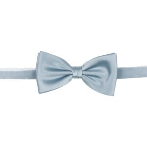 Polyester fluga