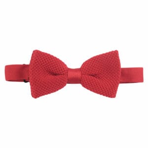 Stickad fluga