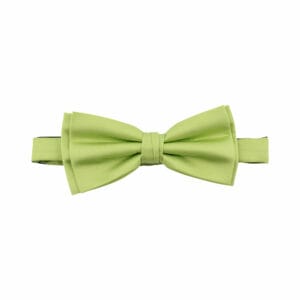 Polyester fluga