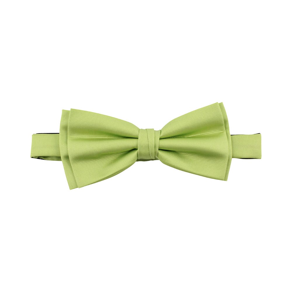 Polyester fluga