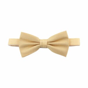 Polyester fluga