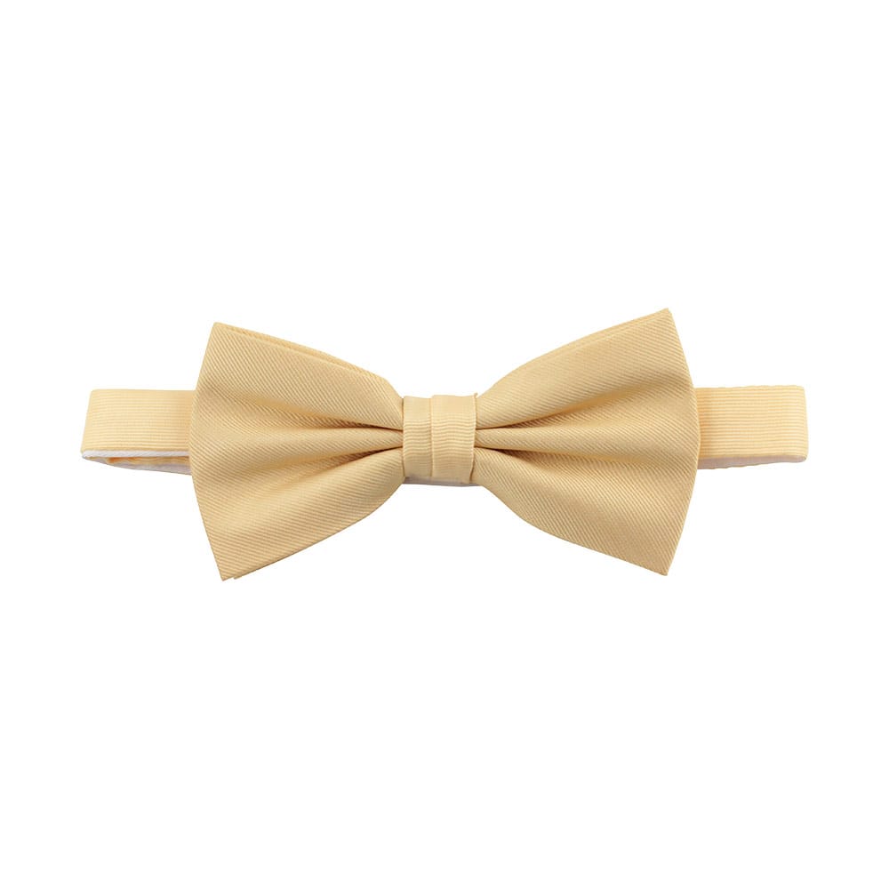 Polyester fluga