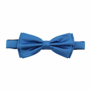 Polyester fluga