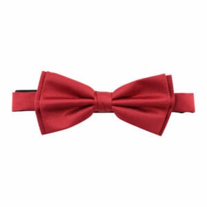 Polyester fluga
