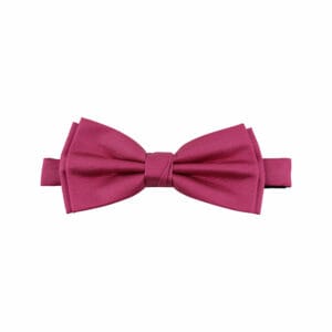 Polyester fluga
