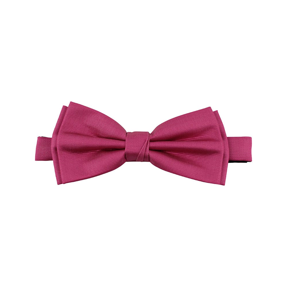 Polyester fluga