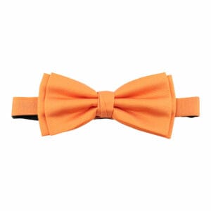 Polyester fluga