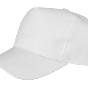 Boston 5-Panel Printers Cap