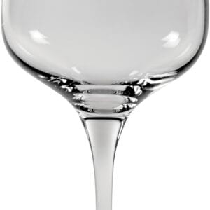 Vinglas 25 cl Sublym